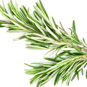 Rosemary