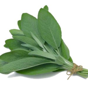 Dried Sage