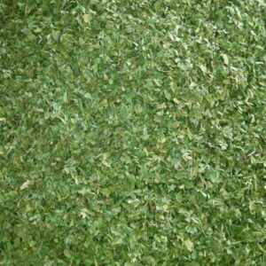 PARSLEY