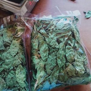 Dried Molokhia